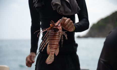 Close-up of a man in a wetsuit holding a lionfish in his fingertips